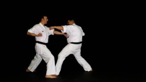 Curso de Cinturón Negro de Kárate | Azul