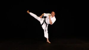 Curso de Cinturón Negro de Kárate | Marrón